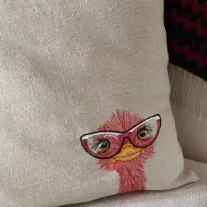 Coussins rigolos