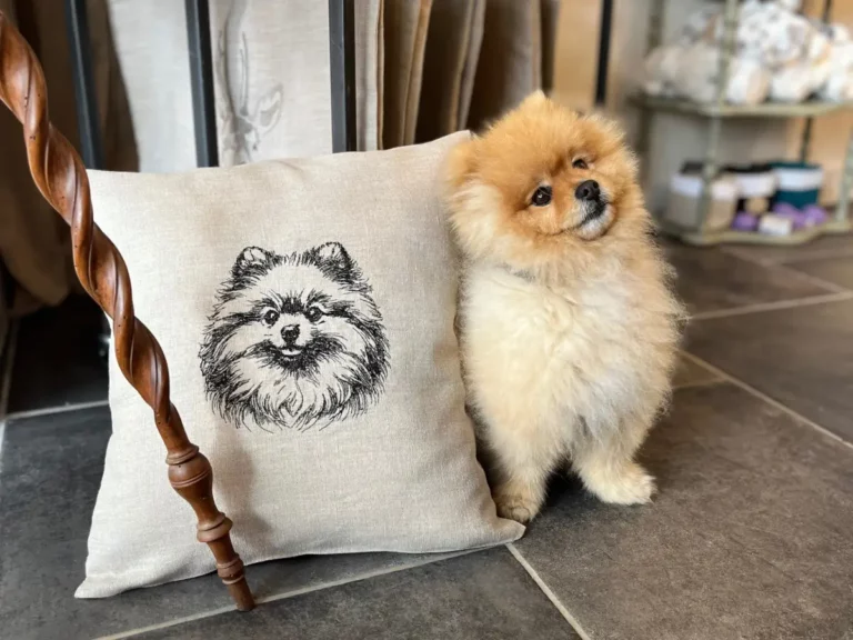 broderie personnalisée