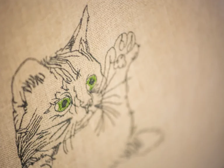 petitchatsurledosversionportable