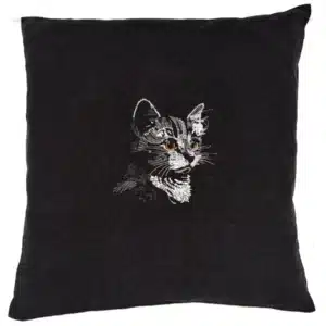 Coussin chaton fond noir