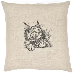 Coussin Maine Coon chaton