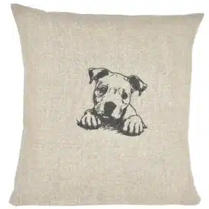 American Staffordshire Terrier