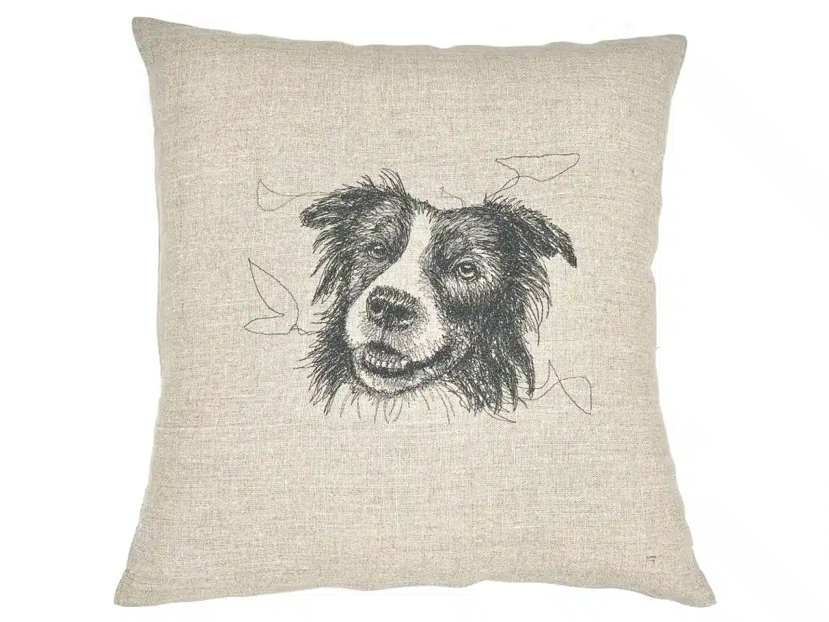 Coussin Border Collie