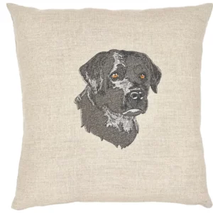 Labrador de trois quarts