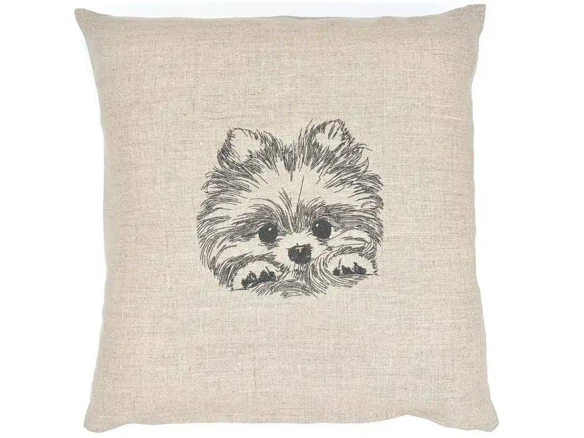 Coussin Spitz de Poméranie